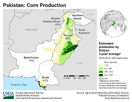 images\PK\cropprod\Pakistan_Corn_preview.png
